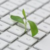 Green Website